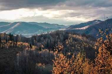 Dağ manzarasında çıplak huş ağacı ağacı resmi. Arka planda bulutlu gökyüzü olan güzel doğa manzara fotoğrafçılığı. Idyllic sahne. Duvar kağıdı, seyahat günlüğü, dergi, makale için yüksek kaliteli resim