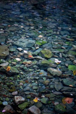Temiz su konsepti fotoğrafıyla sığ dereyi kapatın. Saf akış. Arka planda kayalık zemini olan ön manzara fotoğrafçılığı. Duvar kağıdı, seyahat günlüğü, dergi, makale için yüksek kaliteli resim