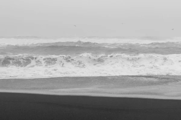 Meeresstrand Bei Sturm Monochromes Landschaftsfoto Schöne Naturkulisse Mit Grauem Himmel — Stockfoto