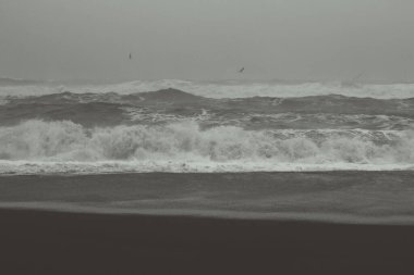 Deniz dalgaları ve plaj monokrom manzara fotoğrafı. Arka planda gökyüzü olan güzel doğa fotoğrafçılığı. Idyllic sahne. Duvar kağıdı, seyahat günlüğü, dergi, makale için yüksek kaliteli resim