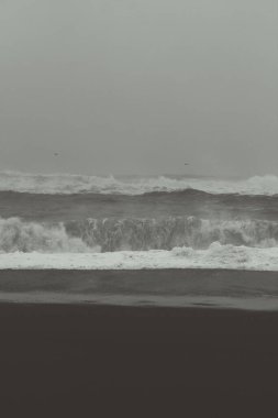 Deniz kıyısındaki tek renkli manzara fotoğraflarında dalgalar yuvarlanıyor. Arka planda gökyüzü olan güzel doğa fotoğrafçılığı. Idyllic sahne. Duvar kağıdı, seyahat günlüğü, dergi, makale için yüksek kaliteli resim