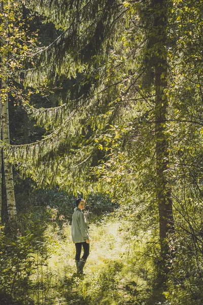 若い女性は日当たりの良いモミの木の風光明媚な写真に沿って歩く 背景に森のある人の写真 高品質の壁紙 旅行ブログ 記事のための写真のコンセプト — ストック写真
