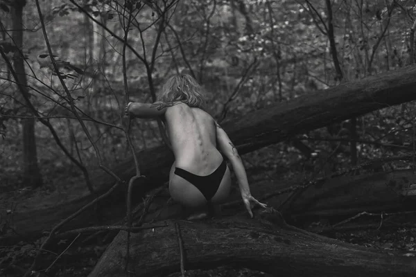裸の女性が倒木のモノクロームの風光明媚な写真に座っている 背景に深い森を持つ人の写真 高品質の壁紙 旅行ブログ 記事のための写真のコンセプト — ストック写真