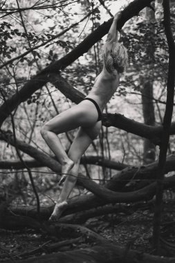 Seductive woman hanging on tree branch monochrome scenic photography. Picture of person with forest on background. High quality wallpaper. Photo concept for ads, travel blog, magazine, article