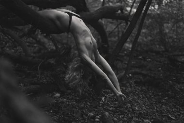 Flexible bare lady on fallen tree monochrome scenic photography. Picture of person with deep forest on background. High quality wallpaper. Photo concept for ads, travel blog, magazine, article
