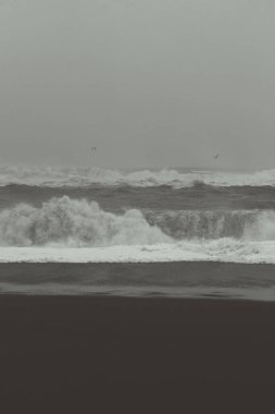 Stormy weather on sea beach monochrome landscape photo. Beautiful nature scenery photography with sky on background. Idyllic scene. High quality picture for wallpaper, travel blog, magazine, article