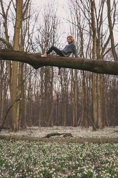 ブロンド裸足の観光客の木の幹の風光明媚な写真に座っている 背景に野生の木を持つ人の写真 高品質の壁紙 旅行ブログ 記事のための写真のコンセプト — ストック写真