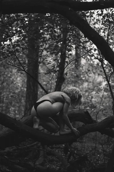 乾燥した木の枝モノクロームの風光明媚な写真に裸の女性 背景に深い森を持つ人の写真 高品質の壁紙 旅行ブログ 記事のための写真のコンセプト — ストック写真