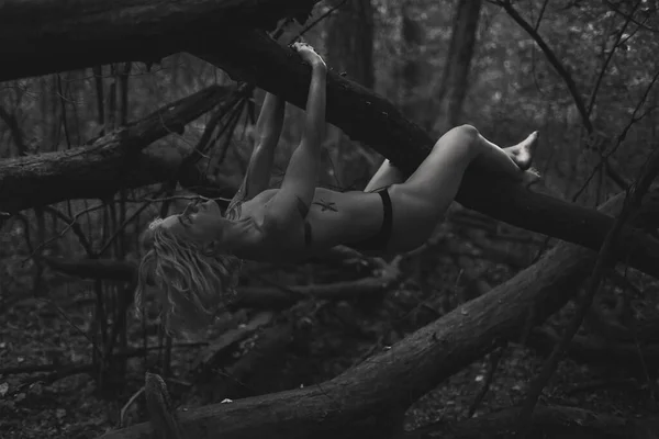 裸のモデルの倒木のモノクロームの風光明媚な写真にぶら下がっている 背景に野生の森を持つ人の写真 高品質の壁紙 旅行ブログ 記事のための写真のコンセプト — ストック写真