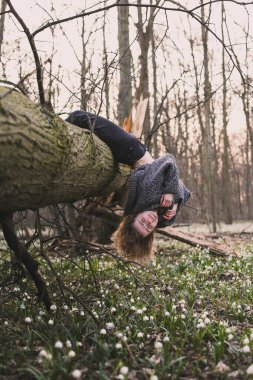 Smiling lady hanging on tree trunk scenic photography. Picture of person with wild forest on background. High quality wallpaper. Photo concept for ads, travel blog, magazine, article
