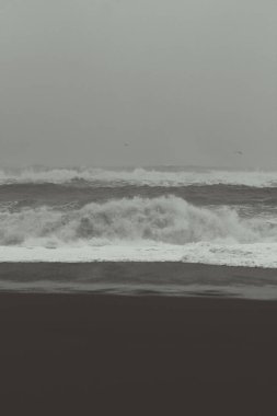 Empty coast on stormy day monochrome landscape photo. Beautiful nature scenery photography with sky on background. Idyllic scene. High quality picture for wallpaper, travel blog, magazine, article
