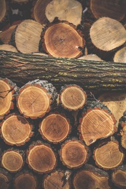 Close up stacking firewood outdoors concept photo. Placing wood on homestead. Front view photography with blurred background. High quality picture for wallpaper, travel blog, magazine, article