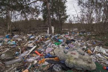Illegal dumping in forest landscape photo. Negative environmental impact nature photography with blurred background. Trash scene. High quality picture for wallpaper, travel blog, magazine, article