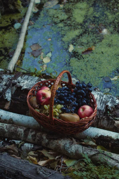 Sluiten Mand Met Fruit Buurt Bloeiende Rivier Concept Foto Groene — Stockfoto
