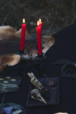 Close up ritual and burning candles, crow skull concept photo. Witchcore aesthetic. Front view photography with blurred background. High quality picture for wallpaper, travel blog, magazine, article