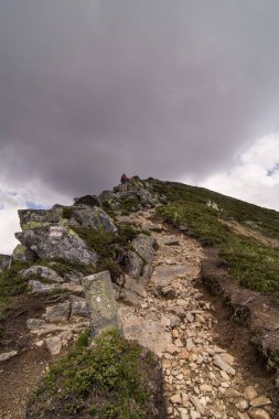 Hikers with trekking poles on mountain cliff scenic photography. Picture of travelers and cloudy sky. High quality wallpaper. Ambient light. Photo concept for ads, travel blog, magazine, article