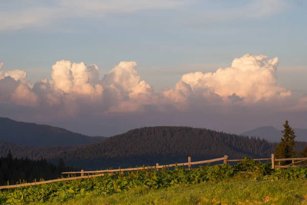 Carpathian mountains and fluffy evening clouds over fence landscape photo. Beautiful nature scenery photography. Ambient light. High quality picture for wallpaper, travel blog, magazine, article