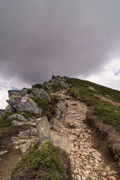 Hikers with trekking poles on mountain cliff scenic photography. Picture of travelers and cloudy sky. High quality wallpaper. Ambient light. Photo concept for ads, travel blog, magazine, article