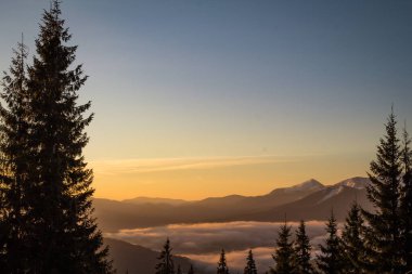 Peaceful sunset view on mountain ranges and spruces landscape photo. Above clouds. Nature scenery photography. Ambient rim light. High quality picture for wallpaper, travel blog, magazine, article