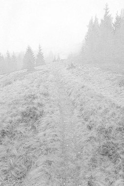 Dragobrat Dağı 'ndaki orman yolu elle çizilmiş. Fotogerçekçi monokrom peyzaj pürüzlü çizimi. Kaliteli doğa manzarası kalem sanatı. Yaratıcı ayrıntılı grafik resmi