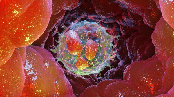 Ilustración Células Leucocitarias Tipo Neutrófilos Glóbulos Blancos Renderizado — Foto de Stock
