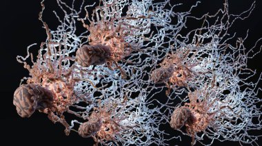 Flagellum ile peritrichous Bakteri, uzun kuyruklu bakteri ve siyah ortamda hareket eden ince villi, sıvı alanda yüzen virüsler, mikrop enfeksiyonu, mikro villi, 3D render