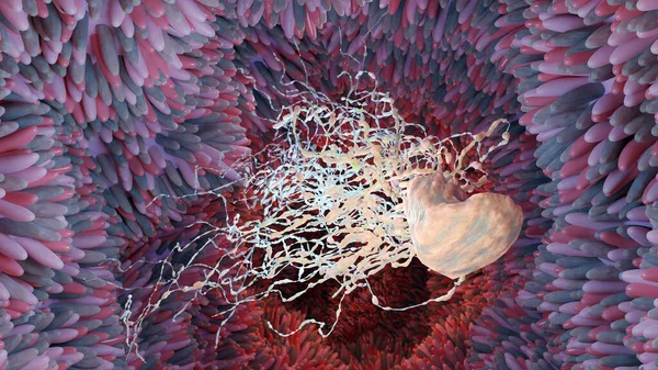 Flagellum ile peritrichous Bakteri, uzun kuyruklu bakteri ve siyah ortamda hareket eden ince villi, sıvı alanda yüzen virüsler, mikrop enfeksiyonu, mikro villi, 3D render