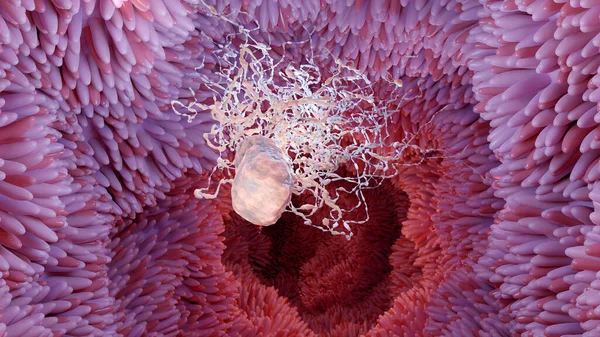 Flagellum ile peritrichous Bakteri, uzun kuyruklu bakteri ve siyah ortamda hareket eden ince villi, sıvı alanda yüzen virüsler, mikrop enfeksiyonu, mikro villi, 3D render