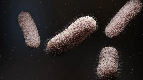 Peritreiche Bakterien Mit Viel Flagellum Bakterien Mit Langen Schwänzen Und — Stockfoto