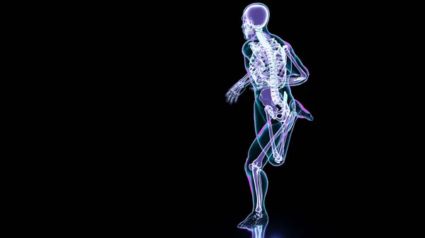 Kostra Systém Běží Člověk Kosti Anatomie Při Běhu Lidské Fyzické — Stock fotografie