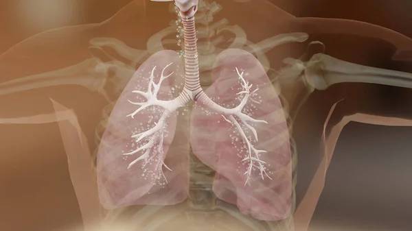 Illustration Von Asthma Symptomen Behandlung Bronchiole Asthma Inhalator Asthmaanfall Darstellung — Stockfoto