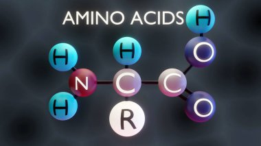 Amino asitler moleküler yapı, 3 boyutlu illüstrasyon