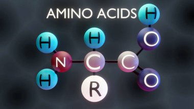 Amino acids molecular structure, 3d illustration clipart