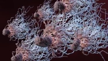 Bir sürü flagellum, uzun kuyruklu zararlı bakteriler ve siyah ortamda hareket eden ince villalar, sıvı alanda yüzen virüsler, mikrop enfeksiyonu, 3D