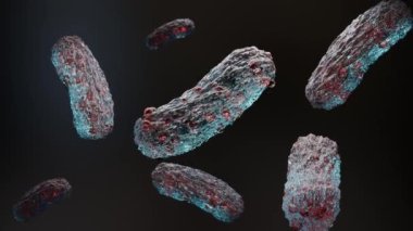 Bakteri. Bağırsak mikrobiyomu, bağırsak sindirimi ve bağışıklık sistemi. Probiyotikler sağlıklı bağırsak florası, mikrobiyom, probiyotik, Gram-negatif, 3D üretiminde yararlı bakterilerdir.