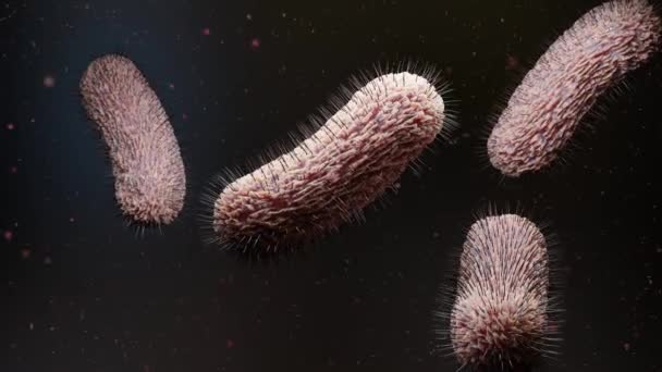 鞭毛の多い好塩基性細菌 尾の長い有害な細菌 黒い環境で動く細いビリ 液体空間に浮かぶウイルス 微生物感染 3Dレンダリング — ストック動画