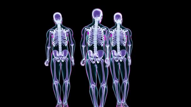 Three Skeletons Standing Moving Normally Isolated Black Background Scan Render — Stock Video