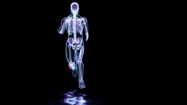 Skelet Systeem Van Lopende Man Bot Anatomie Tijdens Het Lopen — Stockvideo