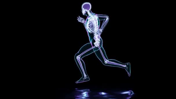 Esqueleto Sistema Homem Correndo Osso Anatomia Durante Execução Físico Humano — Vídeo de Stock