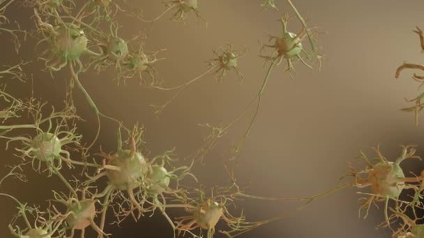 Leichte Traumatische Hirnverletzungen Beschädigte Neuronen Alzheimer Diffuse Axonale Verletzungen Störung — Stockvideo