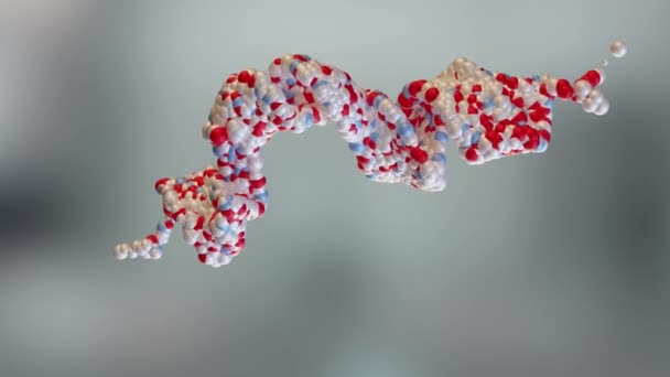 Візуалізація Молекули Глюкагон Подібного Пептиду Glp1 Потужного Антигіперглікемічного Гормону Нейропептид — стокове відео