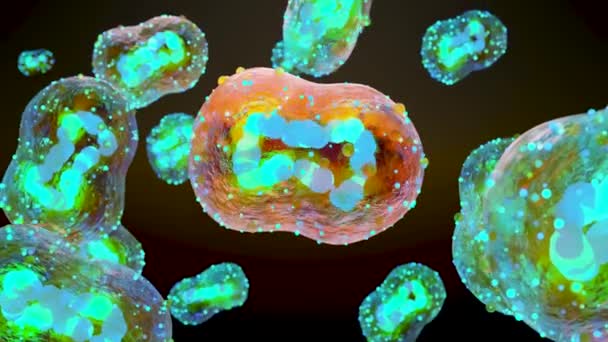 天然痘の伝染のパンデミック 天然痘細胞 症状や予防措置 天然痘の変種 変異熱猿 人間の健康へのウイルスの脅威 3Dレンダリング — ストック動画