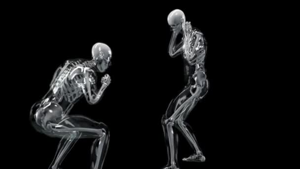2人の男性ボクサーの解剖アニメーション ボクシング 極端なスポーツ 人体解剖学 フックヒット Mma戦闘機 アルファチャンネル 3Dレンダリング — ストック動画