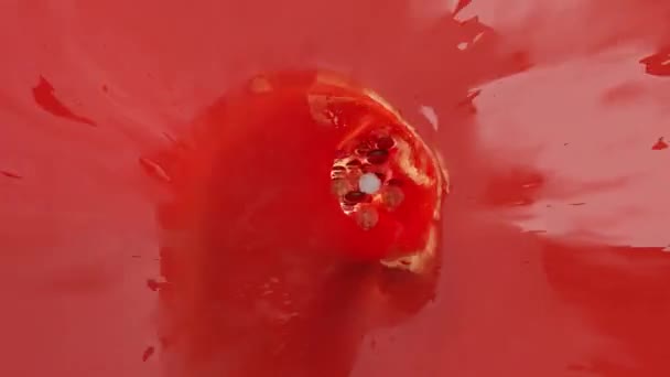Кровь Проходит Через Артерию Сосуд Кровеносной Системе Рендеринг — стоковое видео