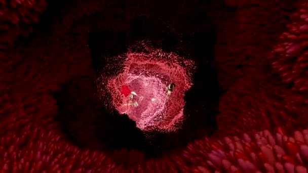 消化器系のマイクロビリ表面細菌やウイルスの腸内ビリ 顕微鏡ビリ 食品の消化吸収のための毛細血管 人間の腸 Pylori 3Dレンダリング — ストック動画