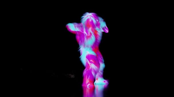 Hairy 3D动画循环动画 室内舞蹈 狂暴的野兽玩乐 吉祥物循环 和谐简约的现代动作设计 蓬松的怪物 3D渲染 — 图库视频影像