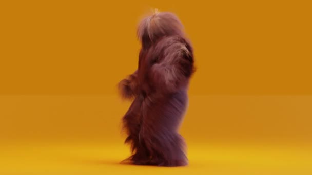 Hairy Monster Dancing Clip Geïsoleerd Oranje Achtergrond Hip Hop Oosterse — Stockvideo