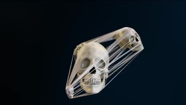 두개골의 거미줄을 만족시키는 애니메이션이죠 바다없는 현실적 렌더링 — 비디오