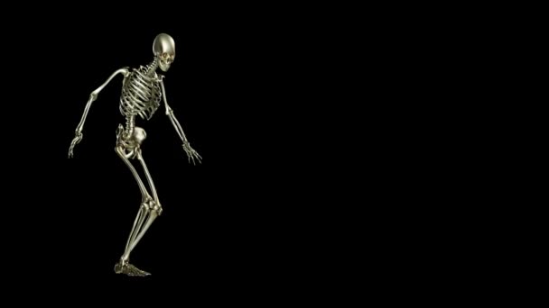 Skeleton Menari Animasi Loop Mulus Pada Latar Belakang Hitam House — Stok Video