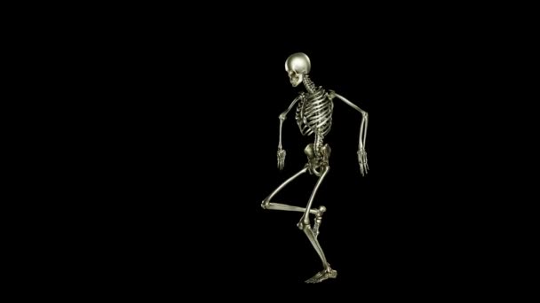 スケルトンダンス 黒の背景にシームレスなループアニメーション チュートヒップホップ ゴースト文字 ダンススカル ラママットと透明ビデオ 3Dレンダリング — ストック動画